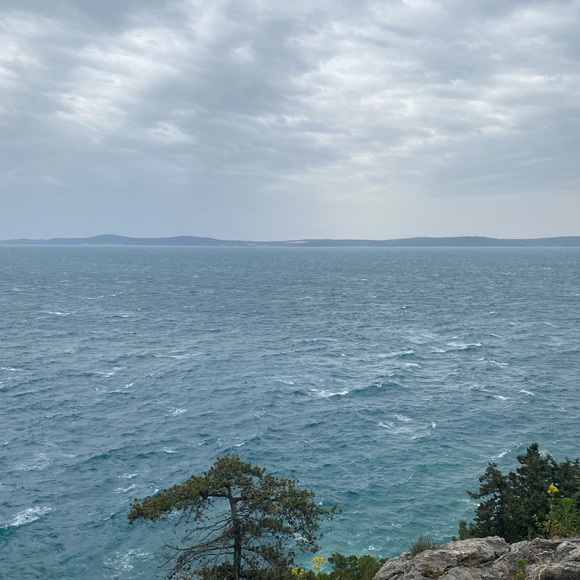 Meet your Posher, Anna - Picture 2 of 2